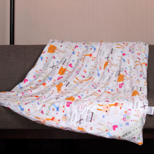 桐乡纯手工 100%纯蚕   儿童蚕丝被  全国包邮 商品图0