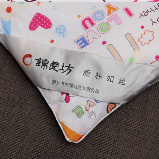 桐乡纯手工 100%纯蚕   儿童蚕丝被  全国包邮 商品图3
