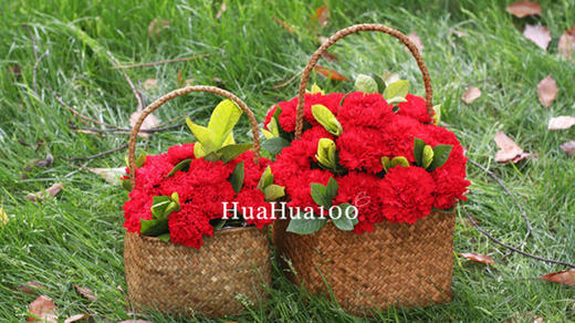 赤子之心丨红色康乃馨花篮（提前1-2天预定） 商品图3