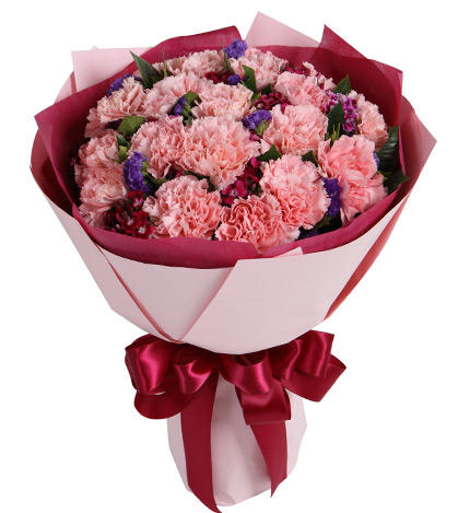 鲜花预定19朵康乃馨鲜花 同城配送 商品图0