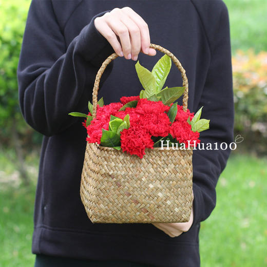 赤子之心丨红色康乃馨花篮（提前1-2天预定） 商品图1