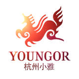 杭州雅戈尔200508