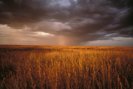 坦桑尼亚“云中孤旅”春节轻奢  11天 商品图1