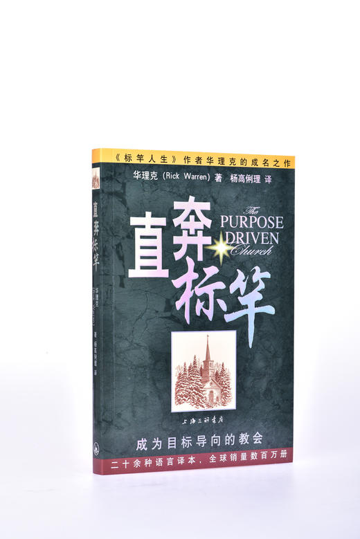 直奔标竿 (美)华理克|译者:杨高俐理 正版书籍 上海三联 商品图1