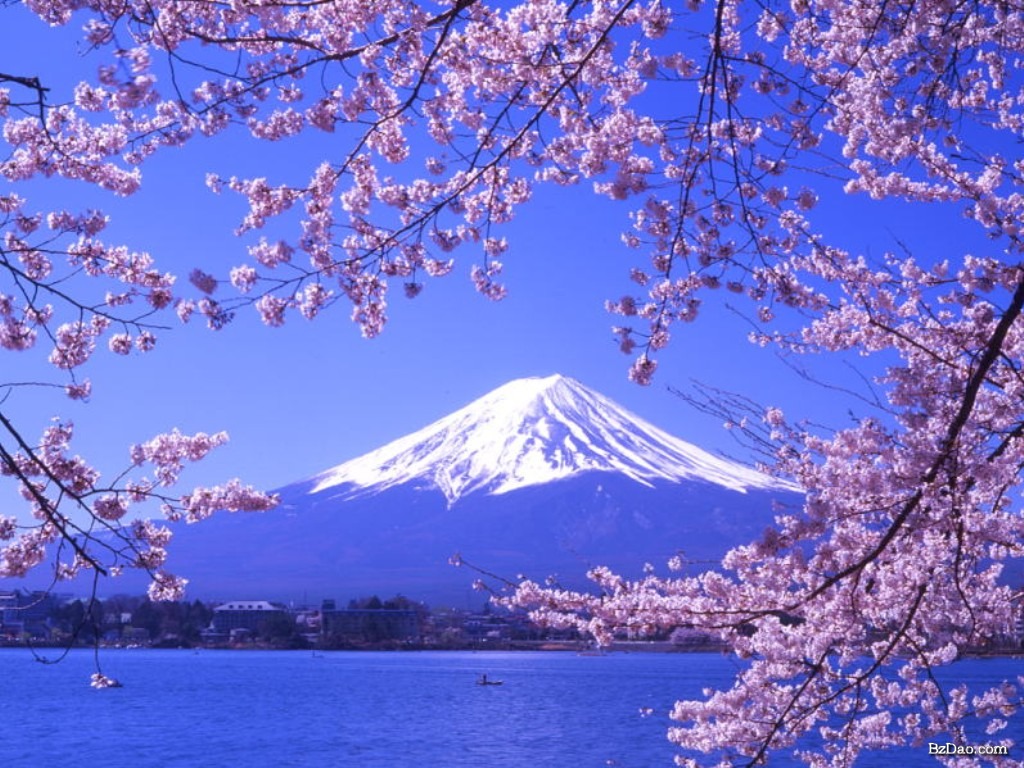 东京 箱根富士山6日5晚