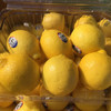 「水果优选」美国柠檬 商品缩略图0