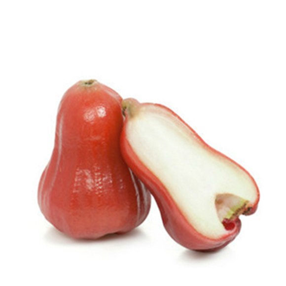 台湾莲雾 4个装 520g~560g