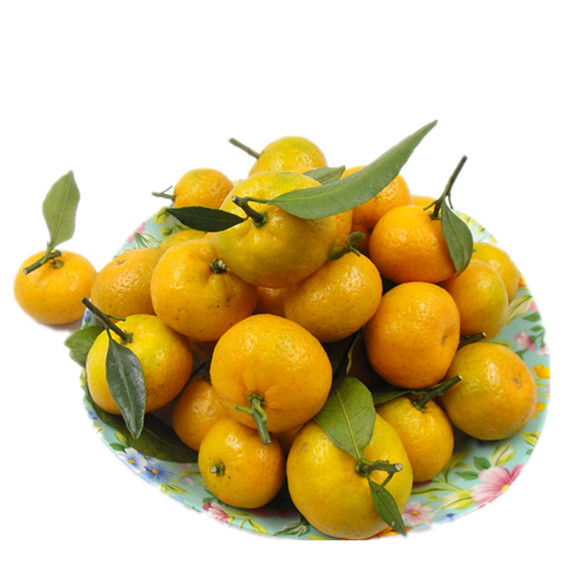 【惠民万家】蜜桔小橘子小蜜橘新鲜水果贡桔1