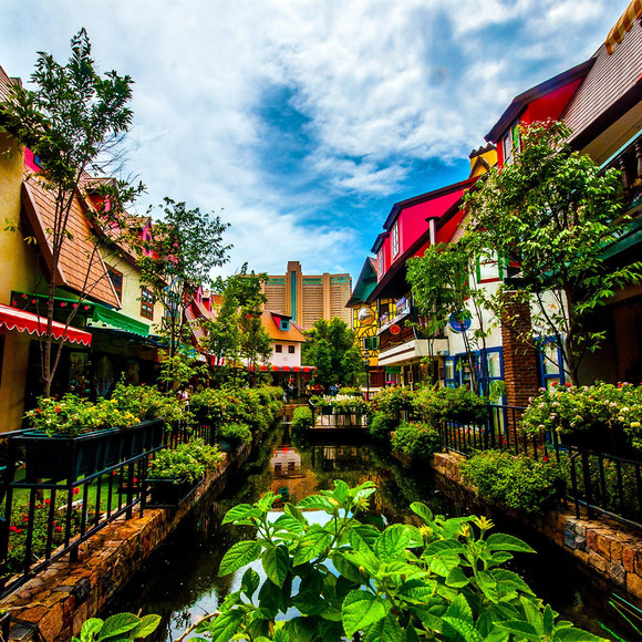 北纬12度的风等你来吹 | Feeling the moment 芭