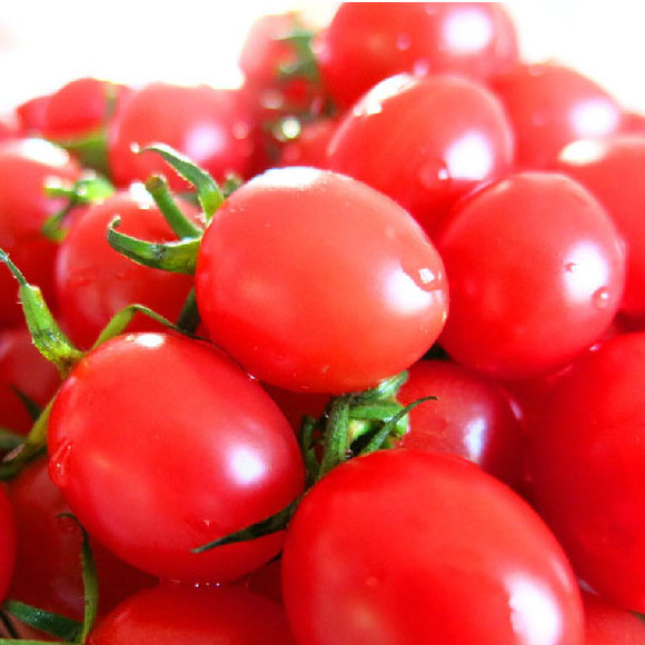 广西千禧圣女果 小番茄小西红柿 一盒2.6斤
