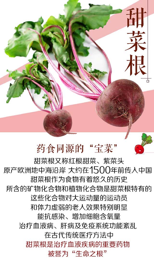 【沛县甜菜根】徐州蔬菜/5斤装/江浙沪皖包邮
