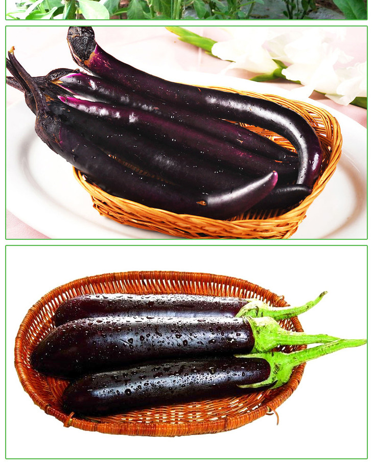 茄王(基地自产现摘)