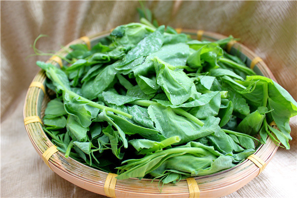 豆苗(单位:斤,500克)