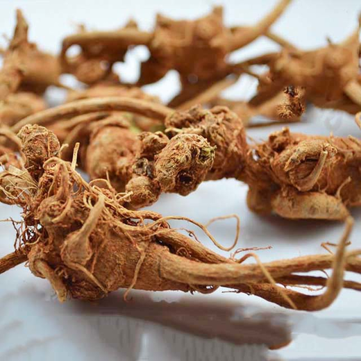 云南野生三七田七