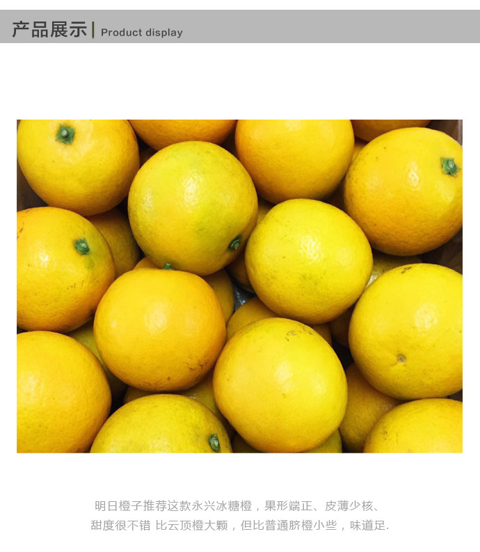 水果优选永兴冰糖橙