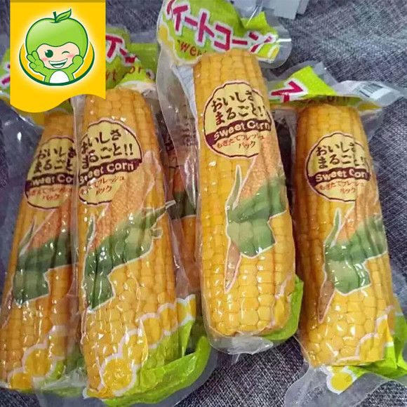 出口日本的非转基因水果玉米,通过日本食品认证